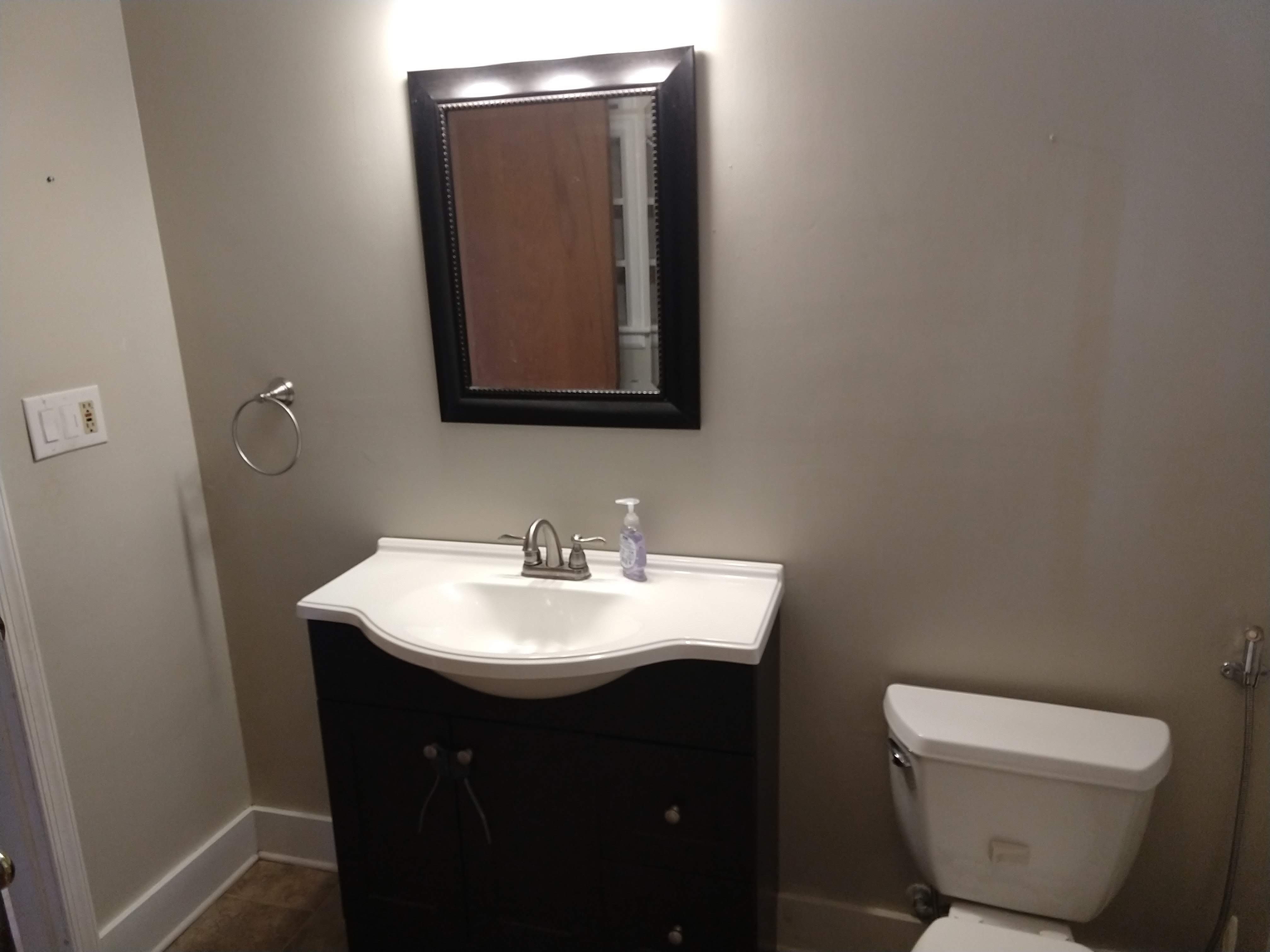 Downstairs bathroom detail